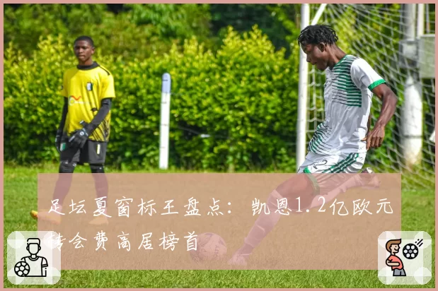 足坛夏窗标王盘点：凯恩1.2亿欧元转会费高居榜首